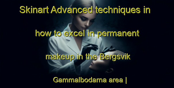 Skinart Advanced techniques in how to excel in permanent makeup in the Bergsvik Gammalbodarna area | PermanentmakeupTraining | PermanentmakeupClasses | SkinartTraining-Sweden
